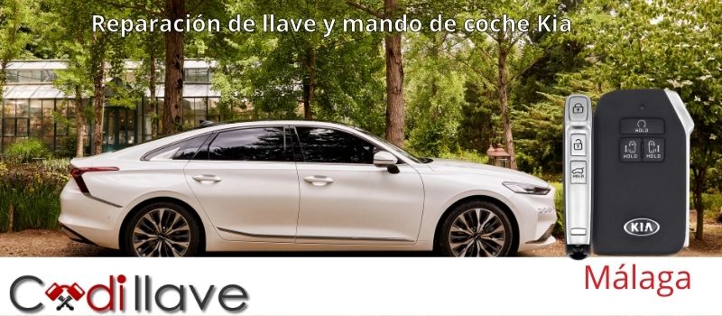reparacion de mandos y llaves de coche Málaga codillave reparacion de mandos y llaves de coche Málaga codillave