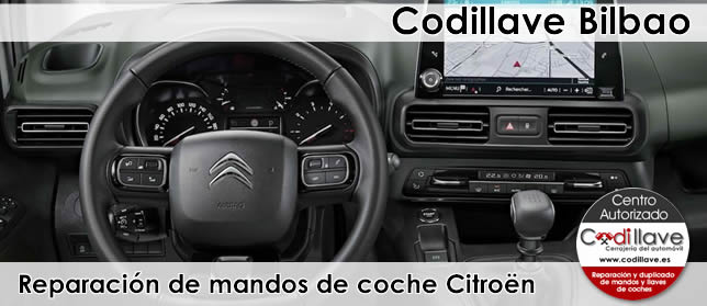 Reparación de mandos de coche Citroën Bilbao reparacion de mandos de coche bilbao