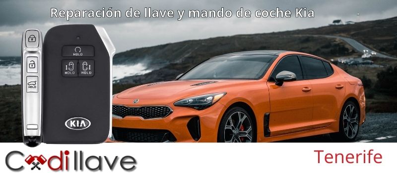 reparacion de mandos y llaves de coche Tenerife codillave reparacion de mandos y llaves de coche Tenerife codillave